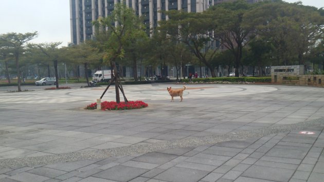 凹子底森林公園内の風景